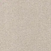 Pumice cod. A3401